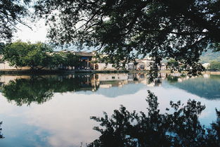 逆水进村,顺水出村,看这个位于湖北邻家的村落,怎么欲水出温柔 鱼说