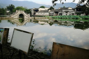 青山绿水本无价,白墙黑瓦别有情 西递宏村屯溪老街二日游