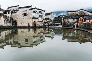 我们的本命年之行 安徽篇 黄山 宏村 屯溪 歙县 大量图片 最新交通住宿信息