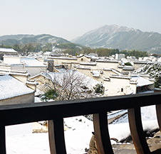 冬天雪景