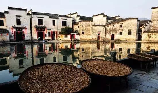水墨画中行,沉醉不知归路!安徽古村落宏村惬意游!