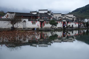 梦回徽州 慢行宏村 探寻徽派古村落的诗意栖居