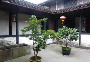 黄山宏村3日精致定制游 柒零柒陆客栈与狮林大酒店的沉浸之旅